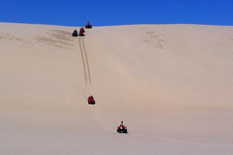 Worimi Sand Dunes Quad Bike Tour - Accommodation Georgetown 3
