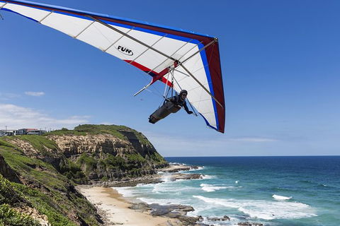 Newcastle And Central Coast Private Shore Excursion | Departs Newcastle Port - Accommodation Georgetown 5