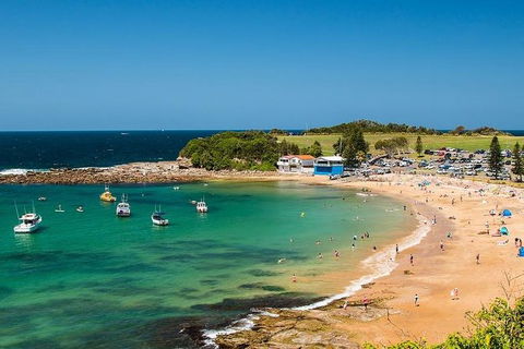 Newcastle And Central Coast Private Shore Excursion | Departs Newcastle Port - Accommodation Georgetown 8