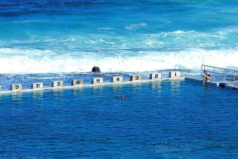 Newcastle And Central Coast Private Shore Excursion | Departs Newcastle Port - Accommodation Georgetown 4