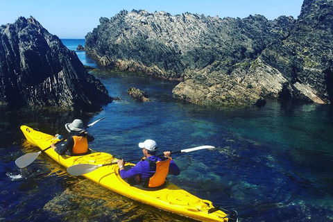 Half Day Sea Kayak Tour From Batemans Bay - Accommodation Georgetown 1