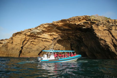 Hunter Coastal Adventure Tour By Boat From Newcastle - Accommodation Georgetown 0