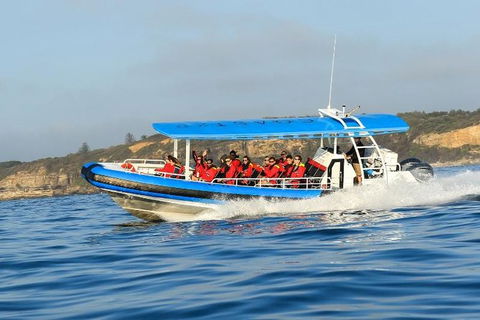 Hunter Coastal Adventure Tour By Boat From Newcastle - Accommodation Georgetown 3