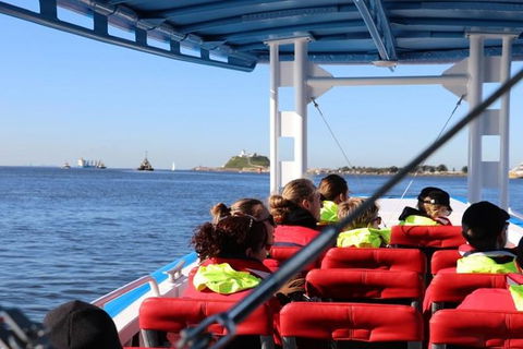 Hunter Coastal Adventure Tour By Boat From Newcastle - Accommodation Georgetown 4
