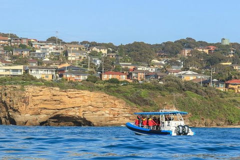 Hunter Coastal Adventure Tour By Boat From Newcastle - Accommodation Georgetown 5