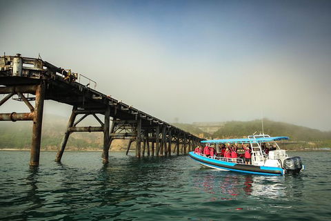 Hunter Coastal Adventure Tour By Boat From Newcastle - Accommodation Georgetown 6