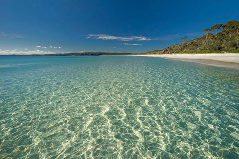 Jervis Bay South Coast Day Trip From Sydney - Cycling - Accommodation Georgetown 0