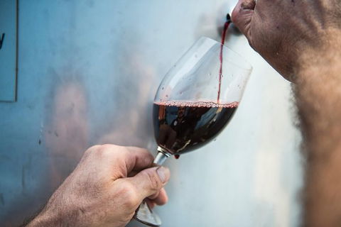 Urban Winery Sydney: Winery Tour And Tasting - Accommodation Georgetown 1