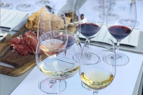 Urban Winery Sydney: Winery Tour And Tasting - Accommodation Georgetown 2