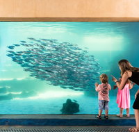 AQWA the Aquarium of Western Australia - Accommodation Georgetown