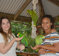 Birdworld Kuranda - Accommodation Georgetown
