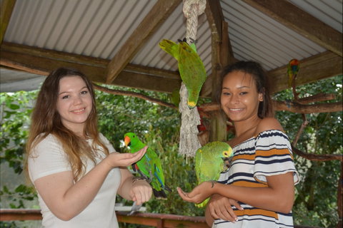 Birdworld Kuranda - Accommodation Georgetown 0