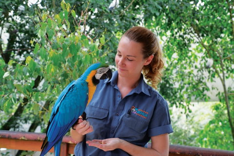 Birdworld Kuranda - Accommodation Georgetown 1