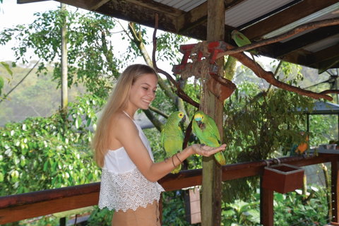 Birdworld Kuranda - Accommodation Georgetown 2