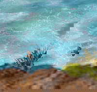 Birdwatching on the Fraser Coast - Accommodation Georgetown