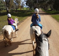 Bits and Boots Pony Rides - Accommodation Georgetown