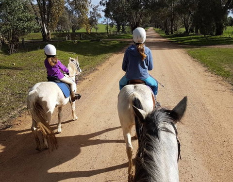 Bits And Boots Pony Rides - Accommodation Georgetown 0