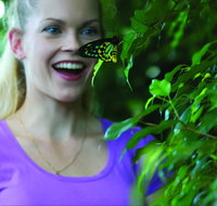 Coffs Harbour Butterfly House - Accommodation Georgetown