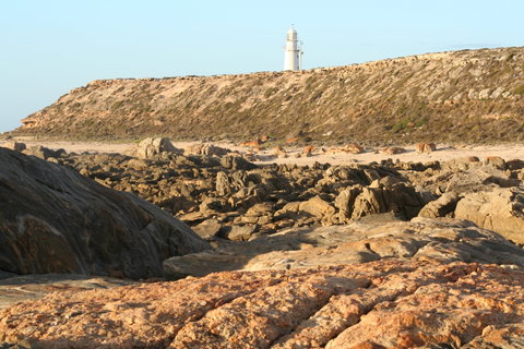 Corny Point Lighthouse - Accommodation Georgetown 0