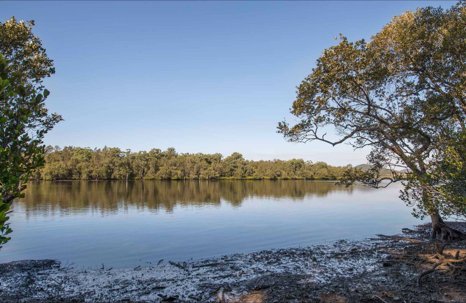 Limeburners Creek NSW Accommodation Georgetown