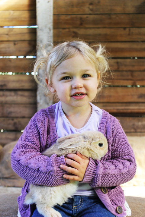 Golden Ridge Animal Farm - Accommodation Georgetown 0