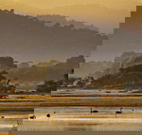 Greens Beach - Accommodation Georgetown