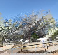 Gregory's Tree Timber Creek - Accommodation Georgetown