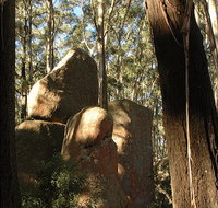 Gulaga National Park - Accommodation Georgetown
