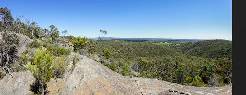 Hale Conservation Park - Accommodation Georgetown 0