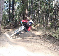 Jolly Nose Mountain Bike Park - Accommodation Georgetown