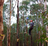 Kinglake Forest Adventures - Accommodation Georgetown