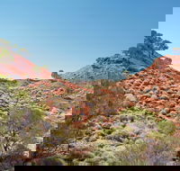 Lark Quarry Conservation Park - Accommodation Georgetown