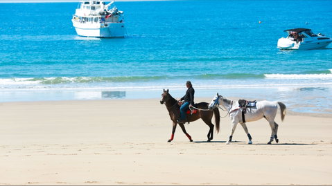 Mackay Harbour Beach - Accommodation Georgetown 0