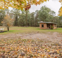 Major Clews Hut Walking Track - Accommodation Georgetown
