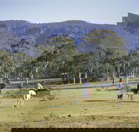 Megalong Valley - Accommodation Georgetown