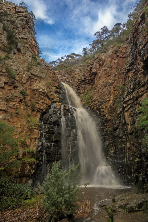 Morialta Conservation Park - Accommodation Georgetown 0