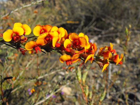 Nail Can Hill - Accommodation Georgetown 2