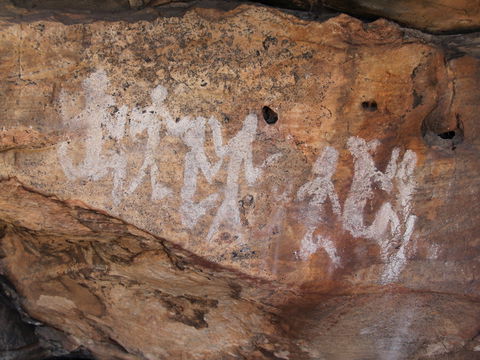 Ngamadjidj Shelter - Wartook Valley - Accommodation Georgetown 0