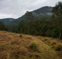 Nowendoc National Park - Accommodation Georgetown