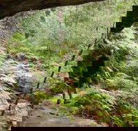 Old Great North Road Bike Ride - Accommodation Georgetown