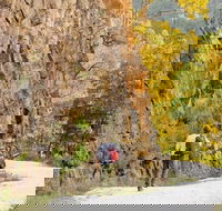 Old Great North Road - World Heritage Walk - Accommodation Georgetown