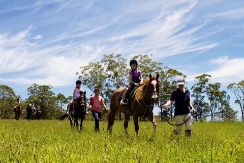 Port Macquarie Horse Riding Centre - Accommodation Georgetown 0