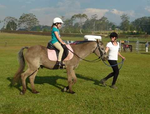 Port Macquarie Horse Riding Centre - Accommodation Georgetown 1
