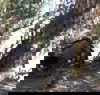 PS Providence historic site - Accommodation Georgetown