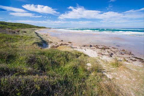 Racecourse Beach: Bawley Point - Accommodation Georgetown 0