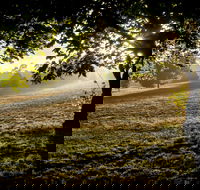 Ruffey Lake Park - Accommodation Georgetown