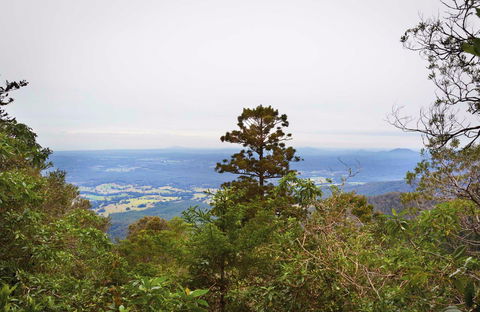 Slingsbys Trail And Syndicate Ridge Track - Accommodation Georgetown 0