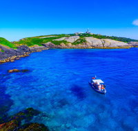 Snorkelling Montague Island - Accommodation Georgetown