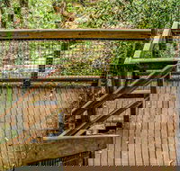 Somersby Falls walking track - Accommodation Georgetown