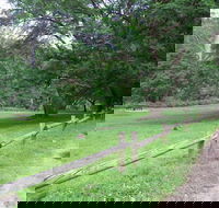 St Albans Reserve - Accommodation Georgetown